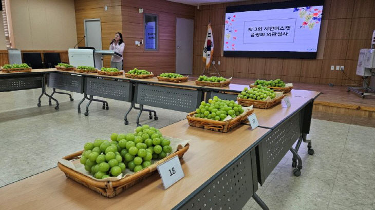 화성 품평