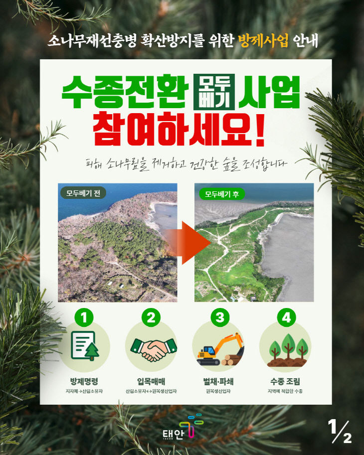 2. 수종전환(모두베기) 홍보 포스터