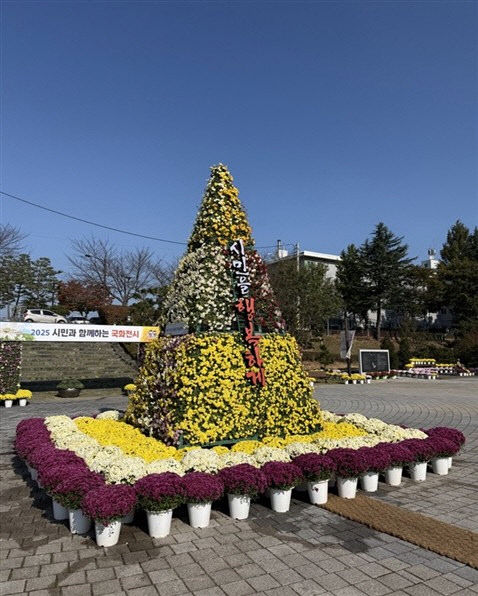 국화전시