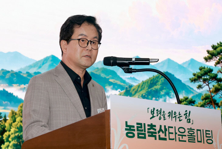 보령시