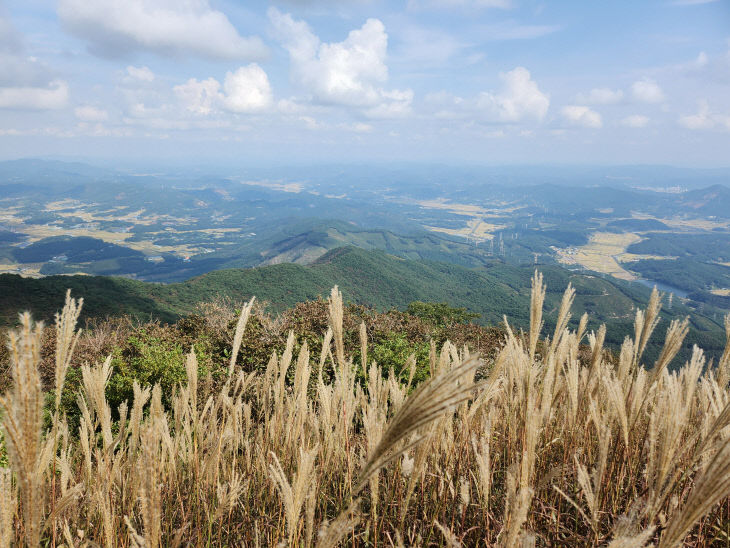 보령시