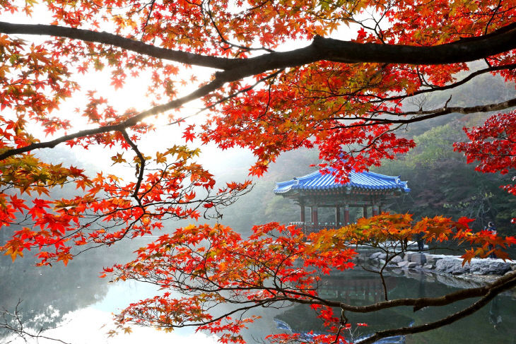 관광·체육·문화 공간 넓힌다(내장산 사진) (1)
