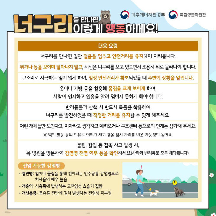제천시, 시민공원 출몰 너구리 대응 요령