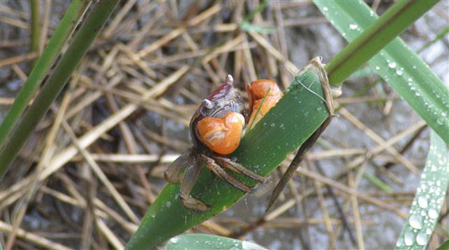 image02