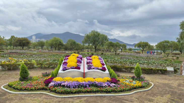 5. 부산낙동강정원전경 3