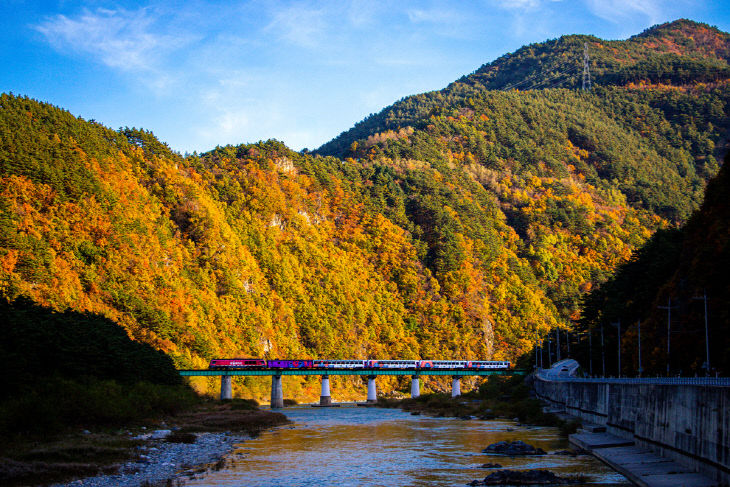 보도자료 이미지2 (1)