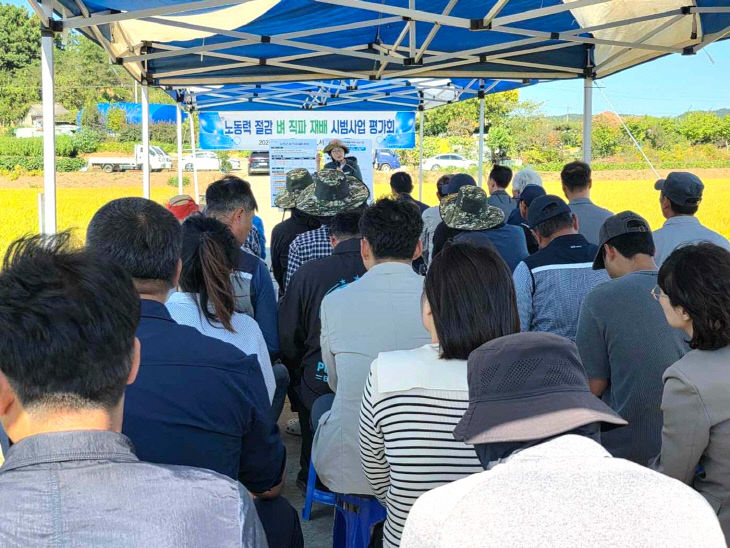 서천군이 개최한 벼 직파재배 시범사업 평가회 모습
