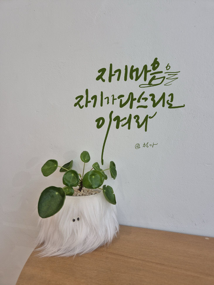KakaoTalk_20261012_074844407