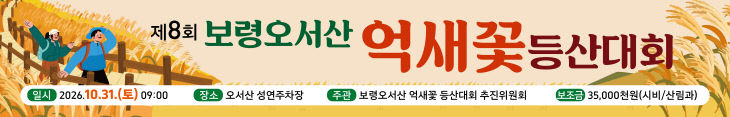 보령시