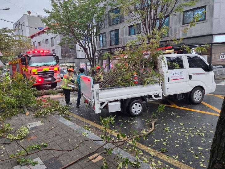 KakaoTalk_20261018_194554292_02