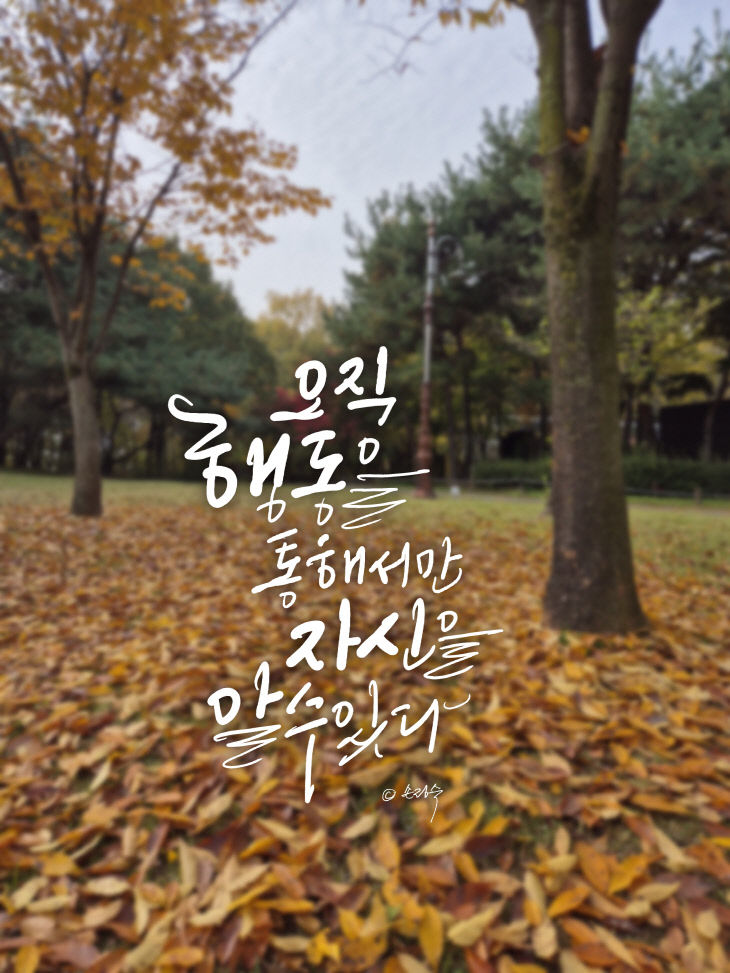 KakaoTalk_20261013_073643776