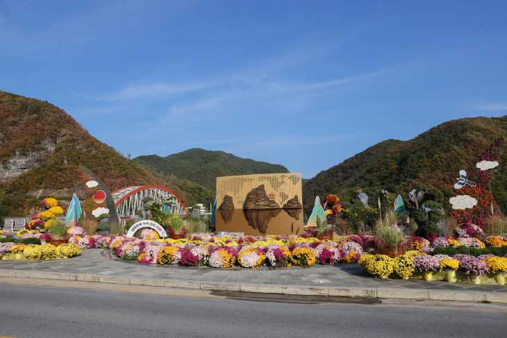 보도 1) 다누리 앞 국화(1)