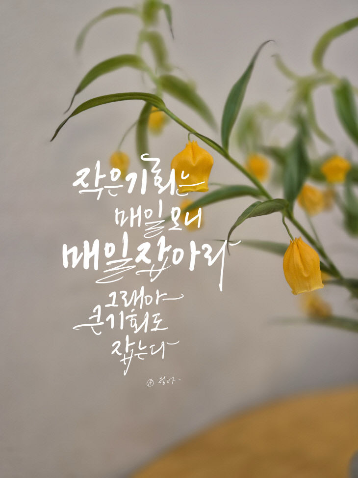 KakaoTalk_20261013_073747545