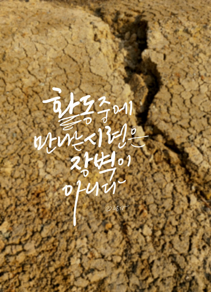 KakaoTalk_20261015_074521324