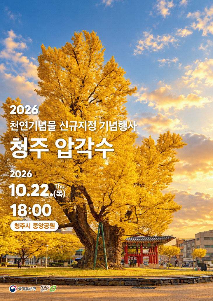 900년 청주 품은 ‘압각수’, 천연기념물 지정 기념행사 개최.