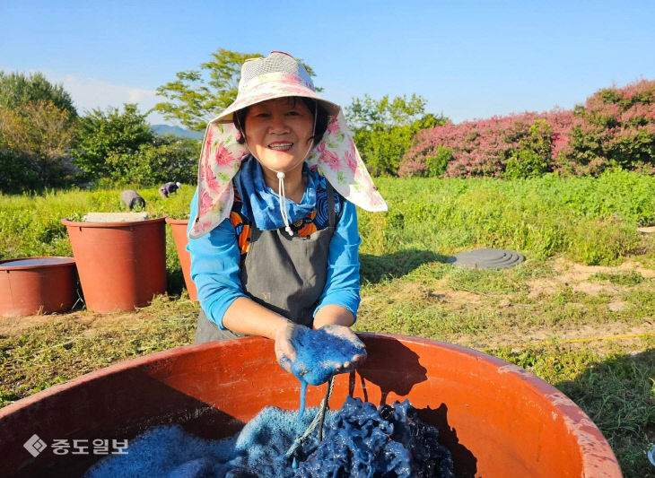 독자제공 사진 짤라야 함