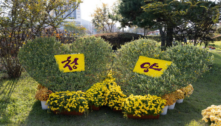 2. 청양 국화전시회