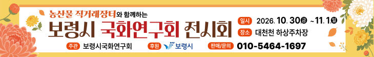 보령시