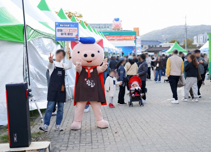 홍성군
