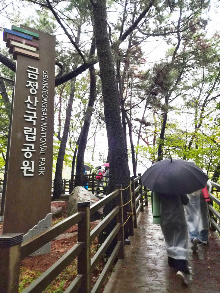 부산대 학술림 숲치유 (1)
