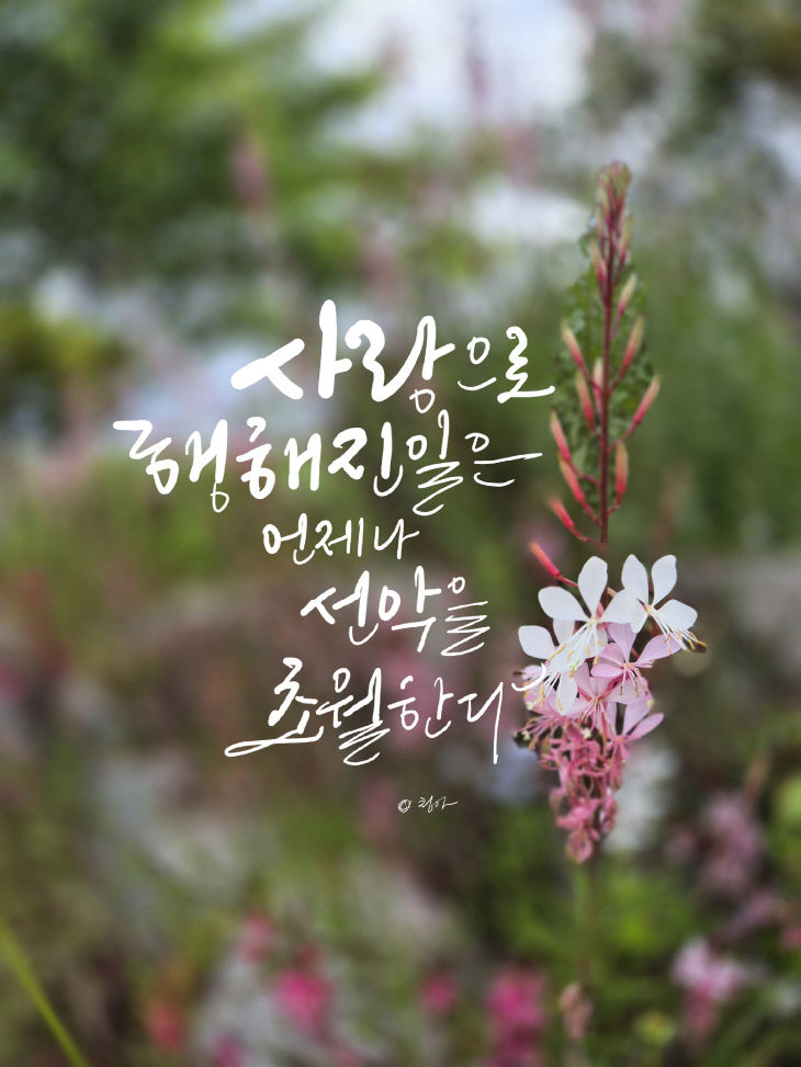 KakaoTalk_20261023_113657435