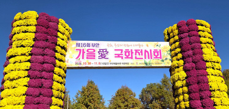 부안군, 제16회 부안가을애 국화전시회 개최 (1)