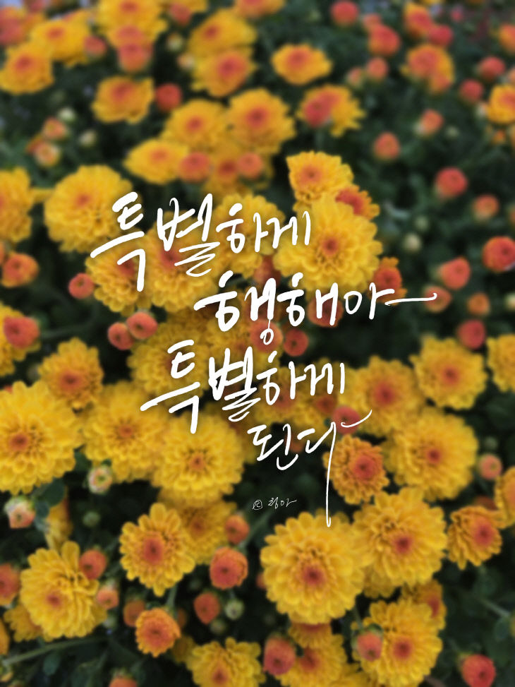 KakaoTalk_20261023_113907500
