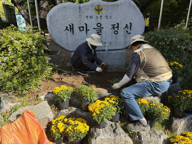 보도사진(가을 초화식재)