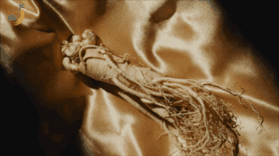 금산군 홍보영상