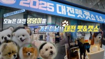 대전 댕댕이들 여기 다 모였다! 2025 대전펫&캣쇼 첫날 표정