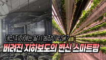 대전 지하에 딸기 농장이 있다고?  15년 방치된 공간이 스마트팜으로 변신