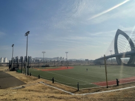 세종시 `유소년·동호인 야구` 열기, 6.3 지방선거에 담는다