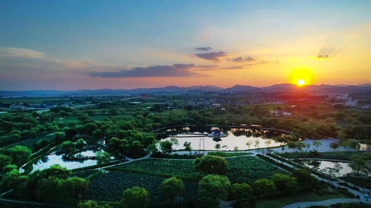 Gungnamji Pond ⁤in full bloom