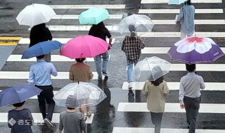 횡단보도 위 형형색색 우산