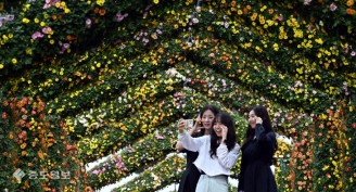 개막 앞둔 유성국화축제…女心도 ‘활짝’