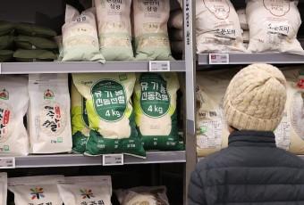 10년간 쌀 소비량 15% 감소 전망... 밥 지어먹는 사람 줄어든 원인