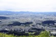 대선 균형발전 공약에 충청권 메가시티 기대감