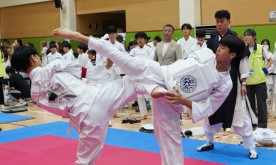 충주, 국내 최대 택견축제 '송암배' 24일 개최