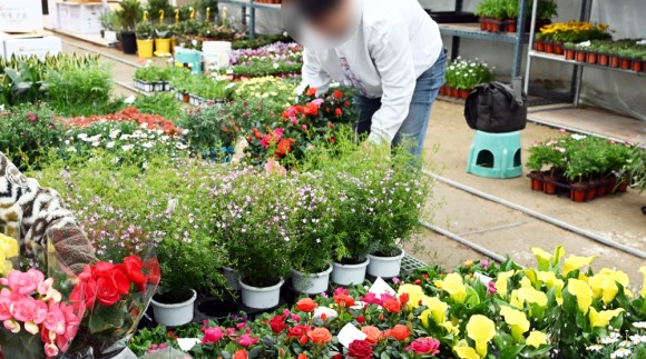 위기의 ‘대전 유일 화훼단지’… 죽동2지구 대규모 도시개발 시동