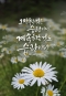 [아침을 여는 명언 캘리] 2025년 6월13일 금요일