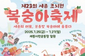 세종 조치원 복숭아축제, 분홍빛 여름의 향연 스타트