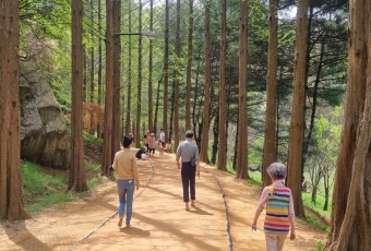 31년 만에 폐원한 세종 `금강수목원`...국가자산 전환이 답
