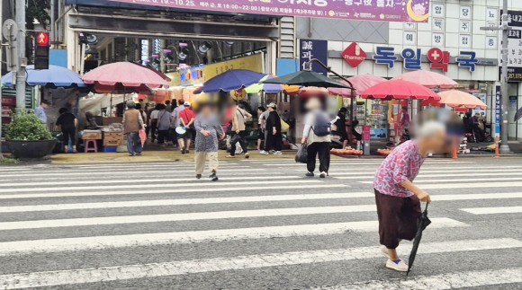 대전 보행자 교통사고 매년 1200건… 보행자 안전대책 시급