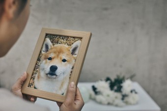 10월 4일은 ‘제1회 동물보호의 날’… 반려동물 산업 현장을 가다