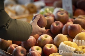 사과 크기 줄어들자 특상품과 중하품 가격 차 역대 `최대`