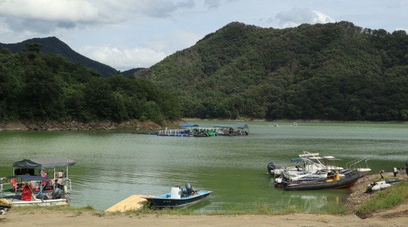 대청호 녹조 가을철 더 매섭다…기상이변 직접 영향권 분석