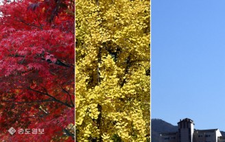 계절의 색 뽐내는 도심