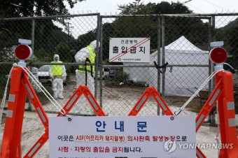 국내 최대 돼지 사육지 충남서 ASF 첫 발생… 도, 긴급 차단방역