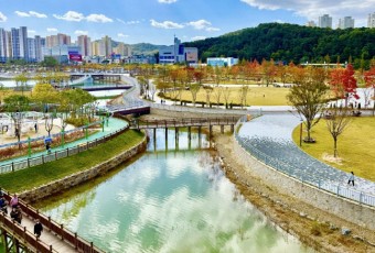 대전의 자연·휴양 인프라 확장, 일상의 지도를 바꾼다