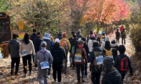 [2025 보문산 걷기대회] 보문산에서 만난 늦가을 정취 만끽